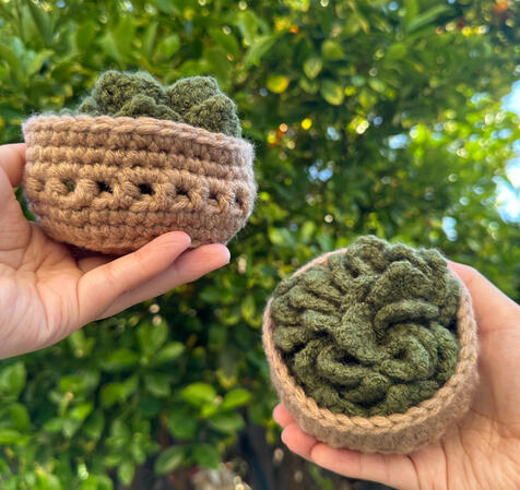Crochet Succulent Plant Pot Coaster Set (pattern by @brunaticality on Instagram)